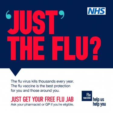 Just the Flu poster